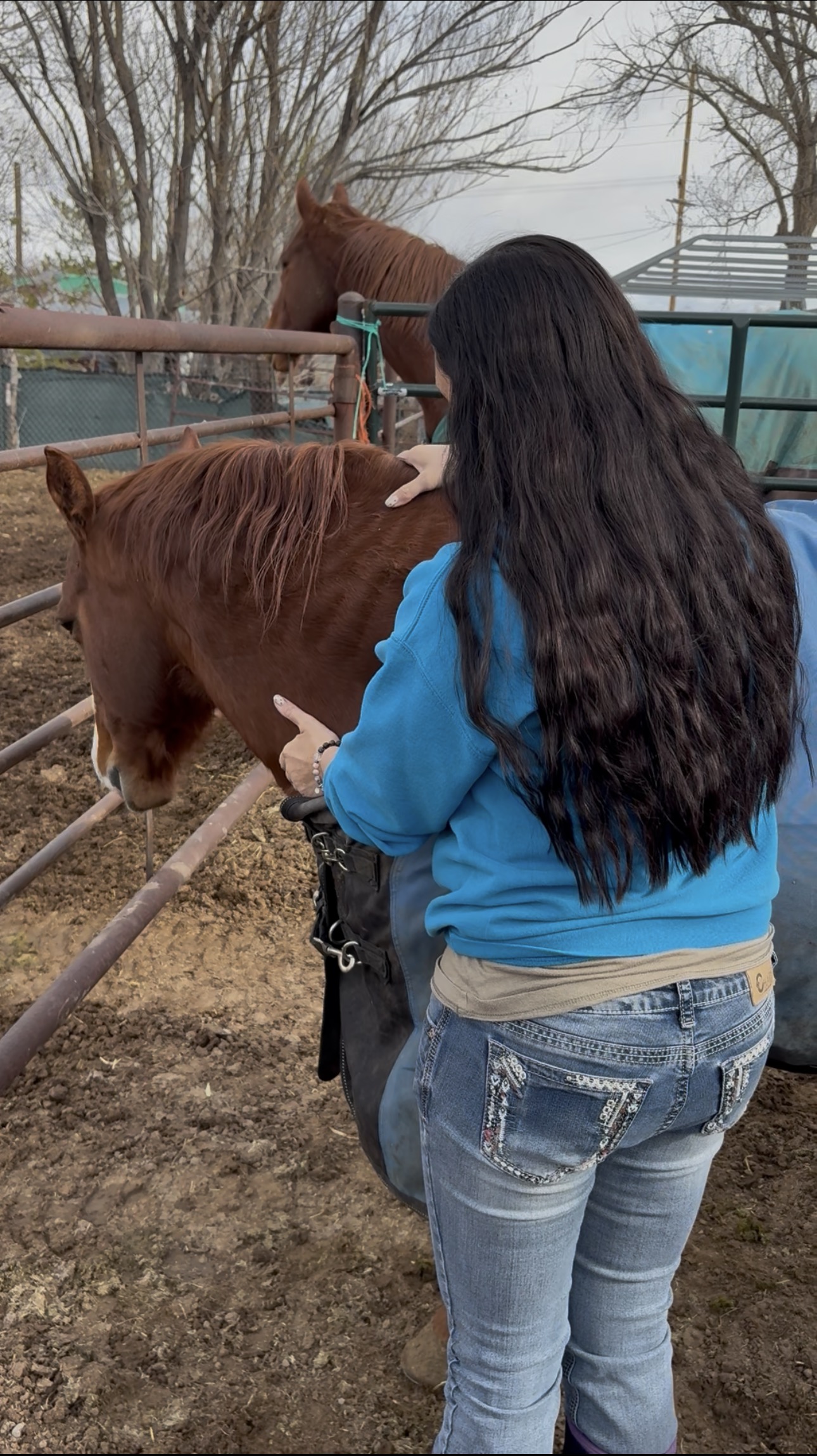 LaDonna with horse